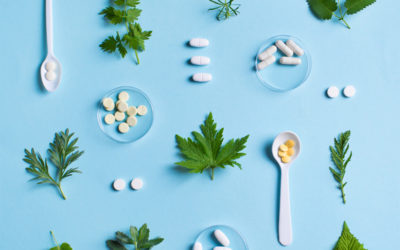 Comprendre la Naturopathie : Prévention et Guérison Holistiques