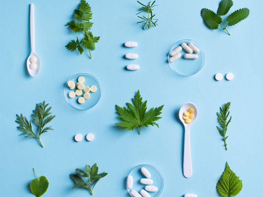 Comprendre la Naturopathie : Prévention et Guérison Holistiques