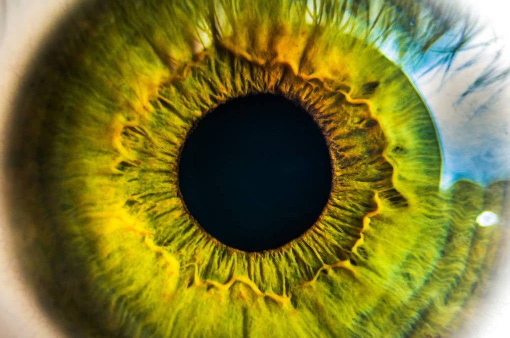 L’iridologie, un outil de diagnostic